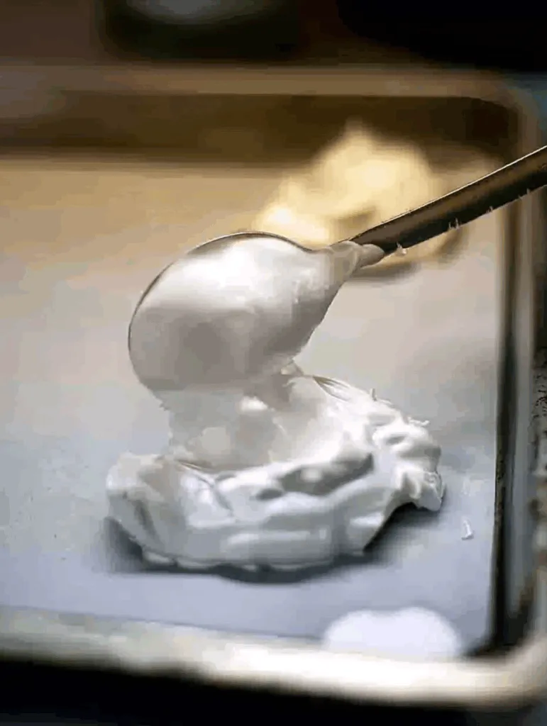 Pavlova-Torte (mit Baiser und Früchten)