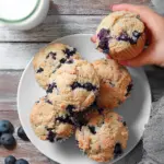 Blaubeer Protein Muffins